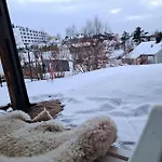 Cosy Close To Gondola And Town Center * 纳尔维克