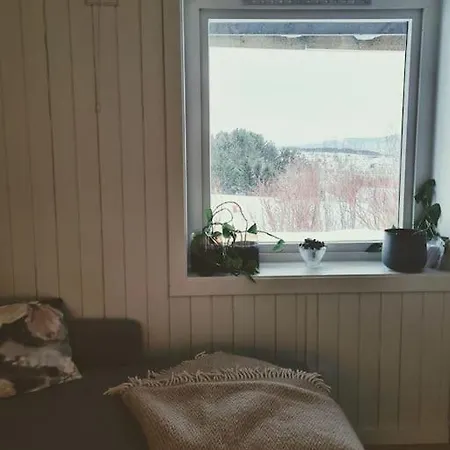 Cosy Winter 200 M From Lift Apartment