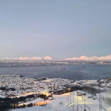 Cosy Winter 200 M From Lift Apartment Narvik