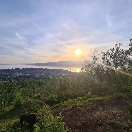 公寓 Cosy Close To Gondola And Town Center *