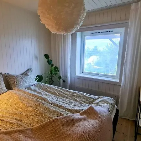 Cosy Close To Gondola And Town Center *