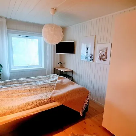 Cosy Winter 200 M From Lift * Narvik
