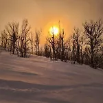 Cosy Close To Gondola And Town Center Apartment Narvik